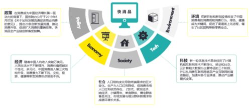 數字心智運營 把握時代機遇，論中國快消品企業D2C轉型趨勢及北京企業網站開發與運營